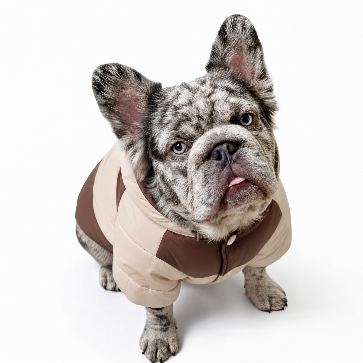 Warm Fleece Lined Hooded Dog Jacket