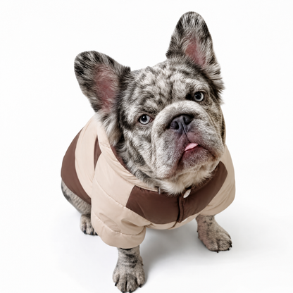 Warm Fleece Lined Hooded Dog Jacket